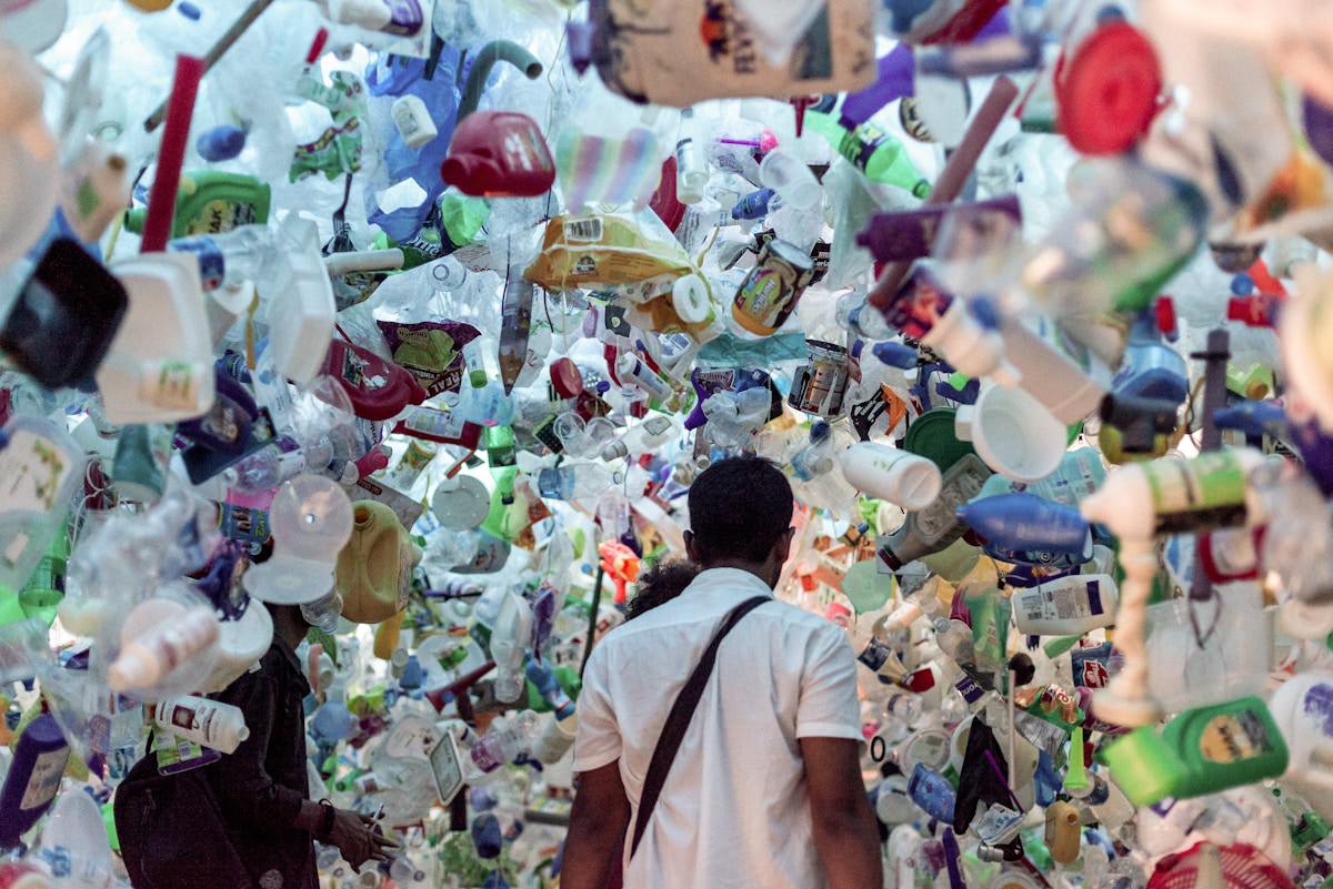 could-ocean-plastic-cleanups-be-doing-more-harm-than-good?