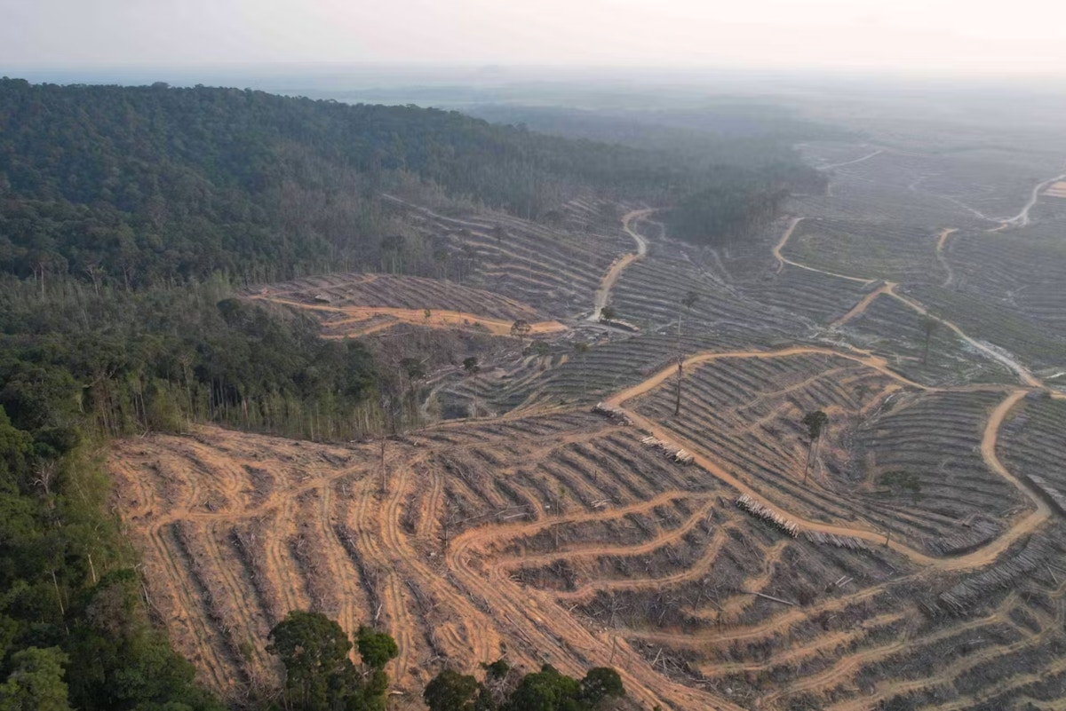 industry-pressure-stalls-eu-anti-deforestation-law-rollout;-ngos-call-delay-‘an-act-of-nature-vandalism’